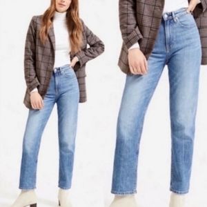 Everlane The High Rise Straight Denim Jean Size 27 Medium Wash NEW NWT
